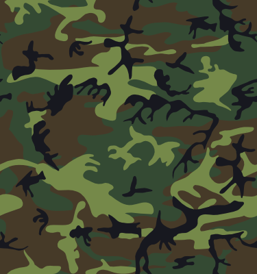 alnilam_Camouflage_2.png